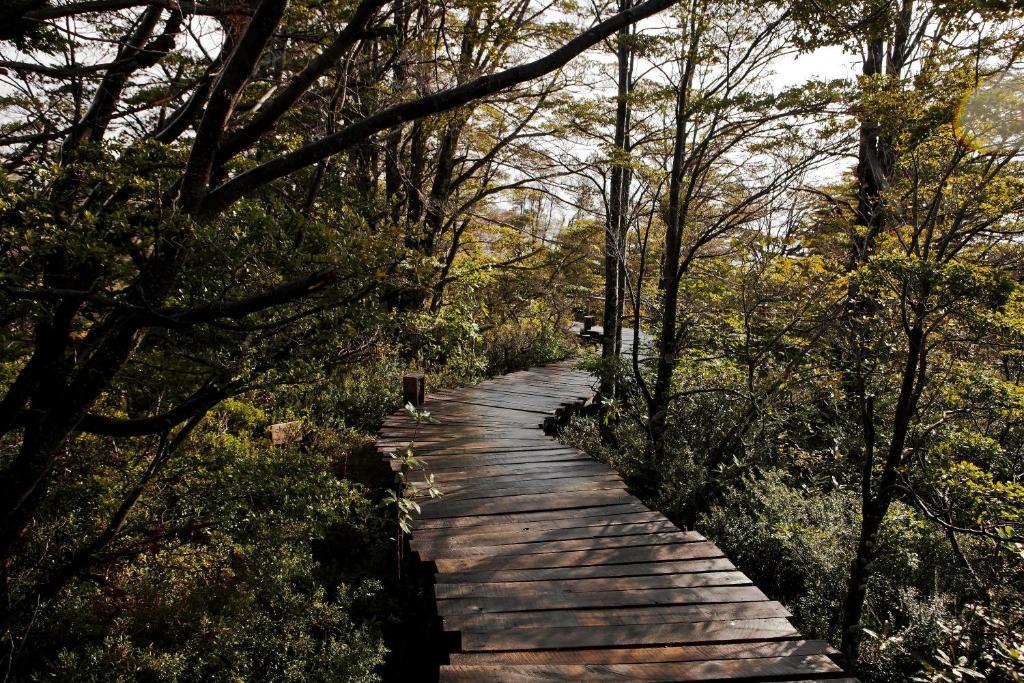 Hotel Patagonia Camp Torres del Paine National Park Zewnętrze zdjęcie